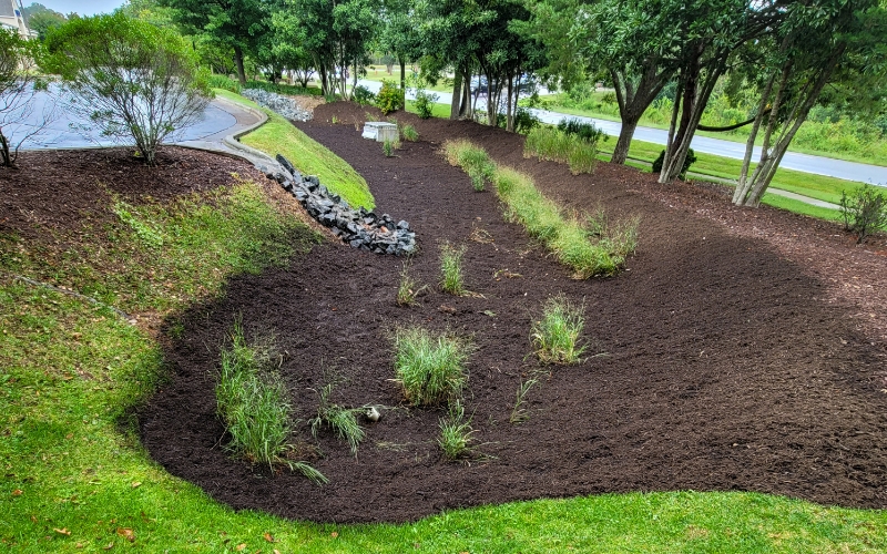 SCM bioretention basin providing stormwater treatment and runoff control at a commercial site in North Carolina