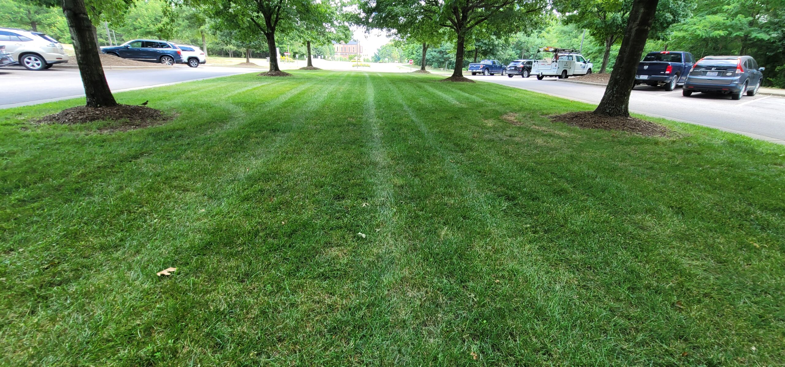 vegetated swale stormwater drainage maintenance inspection