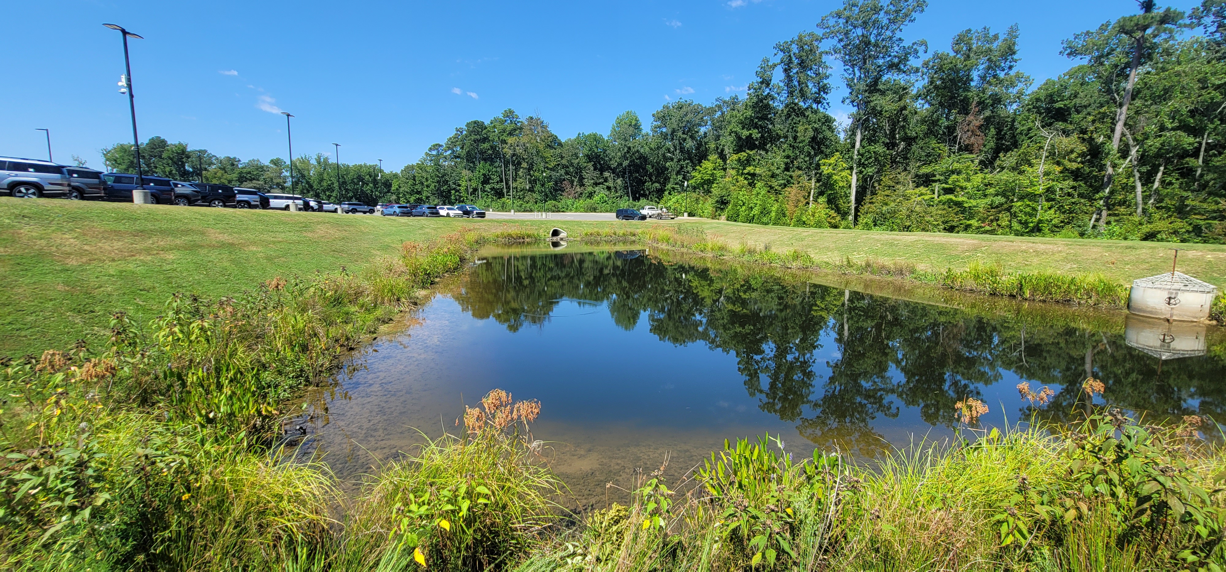 Stormwater wet pond with permanent pool designed to settle pollutants and manage runoff at a regulated site in North Carolina