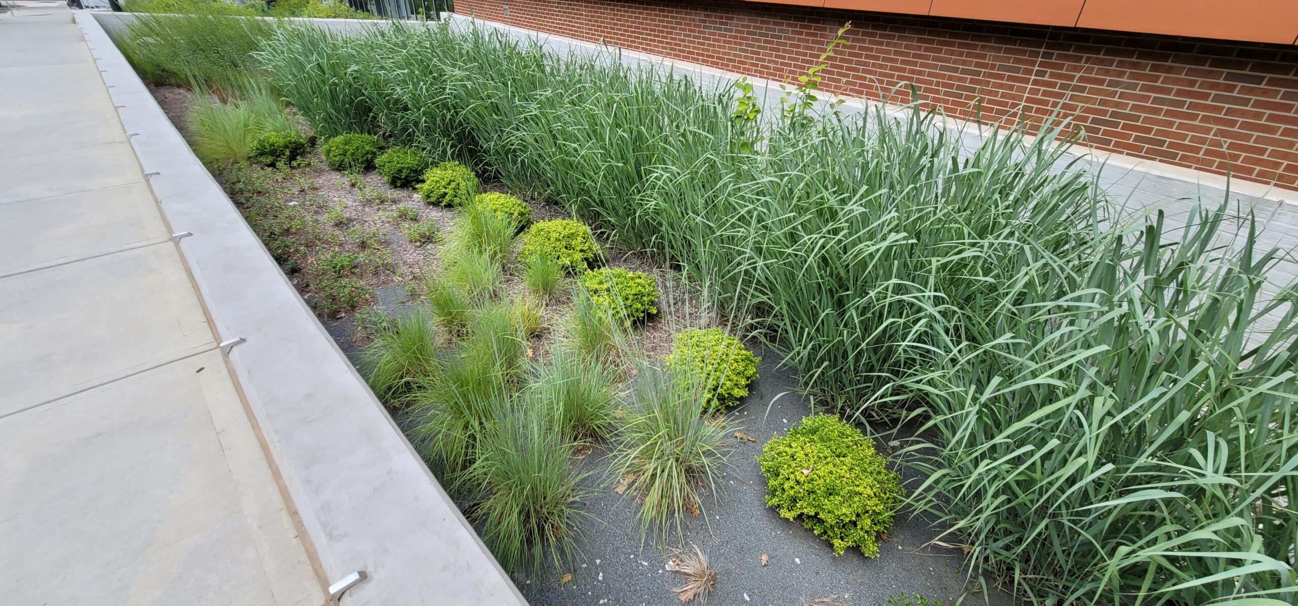 Green roof stormwater control measure using vegetated layers to reduce runoff volume and peak discharge.
