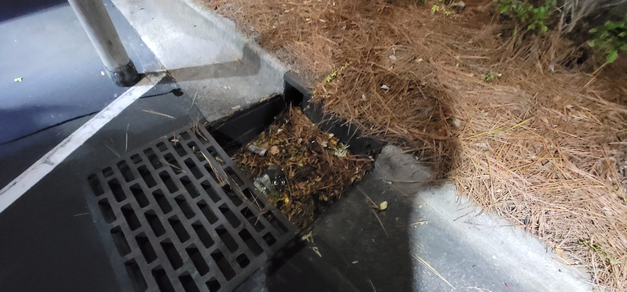 Excess sediment buildup in stormwater detention basin reducing BMP efficiency