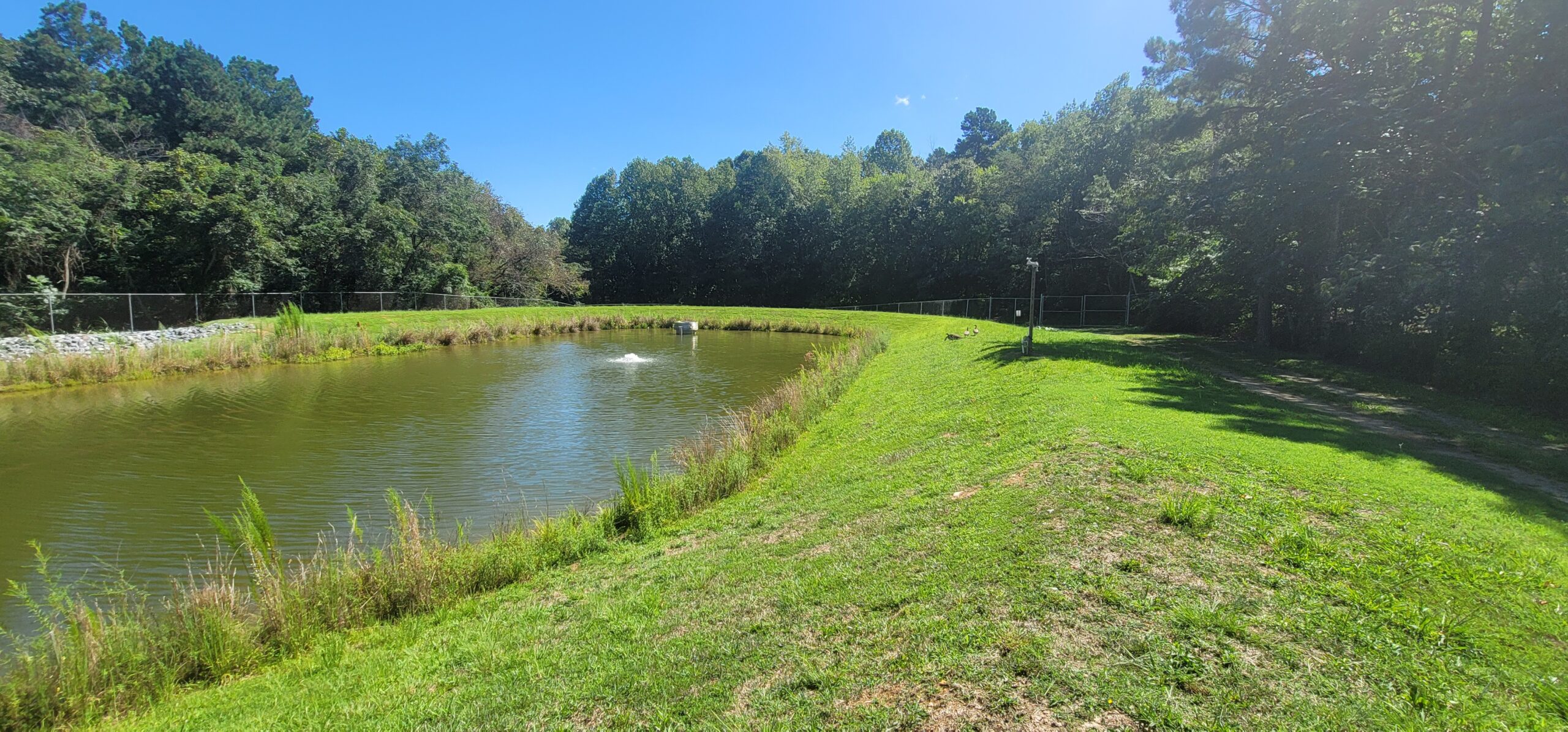 Stormwater consultant reviewing stormwater management plans and stormwater control measures
