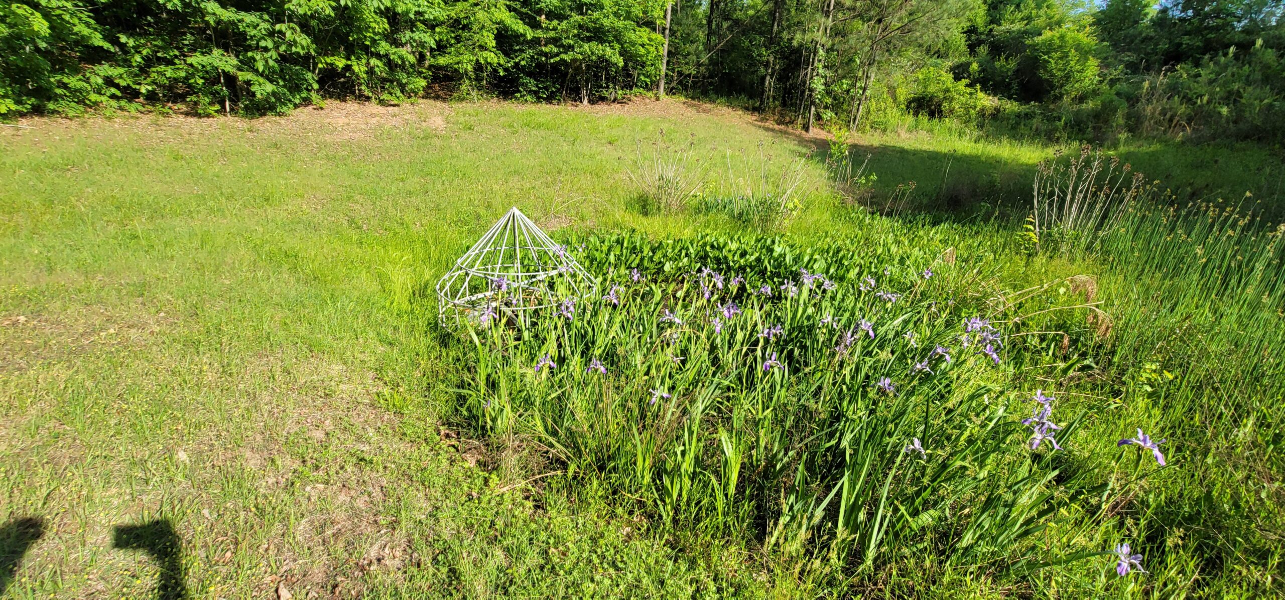 Stormwater retention pond maintenance in Raleigh NC