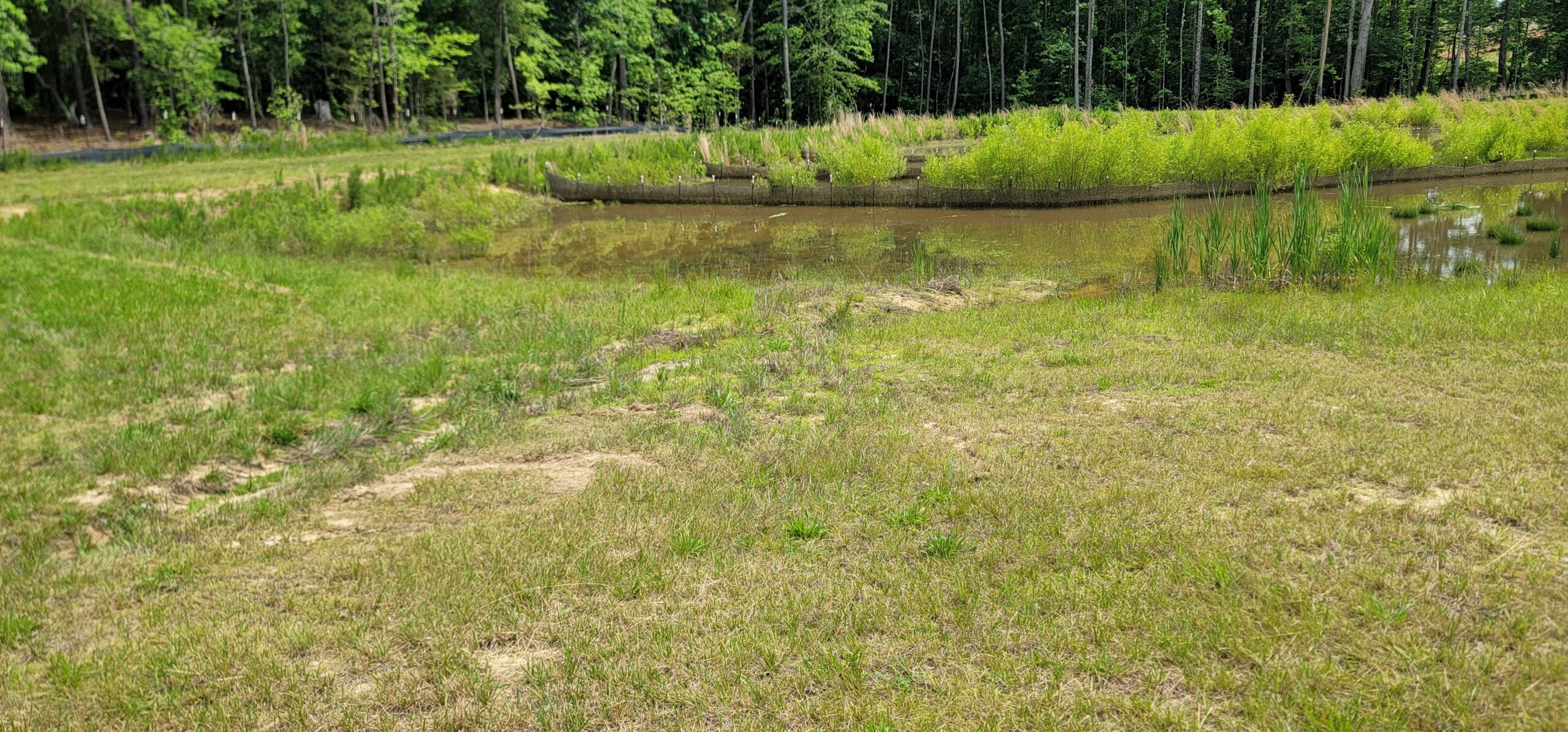 Stormwater maintenance service in Charlotte NC clearing debris from stormwater drainage system